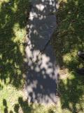 image of grave number 764152